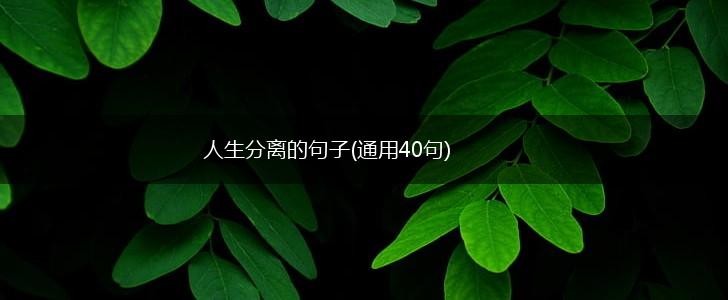 人生分离的句子(通用40句),第1张