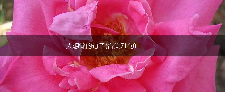 人想懒的句子(合集71句),第1张
