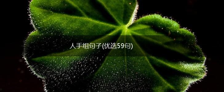 人手组句子(优选59句),第1张