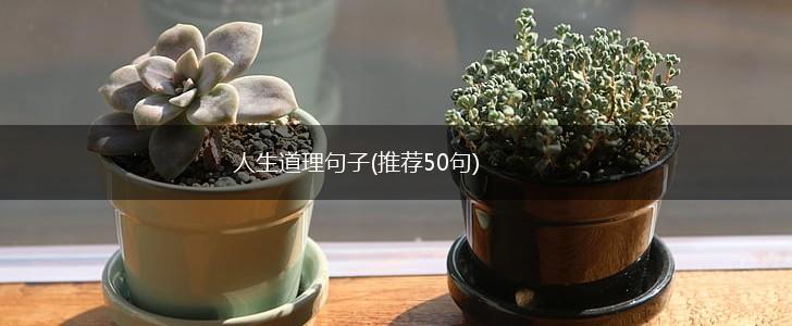 人生道理句子(推荐50句),第1张
