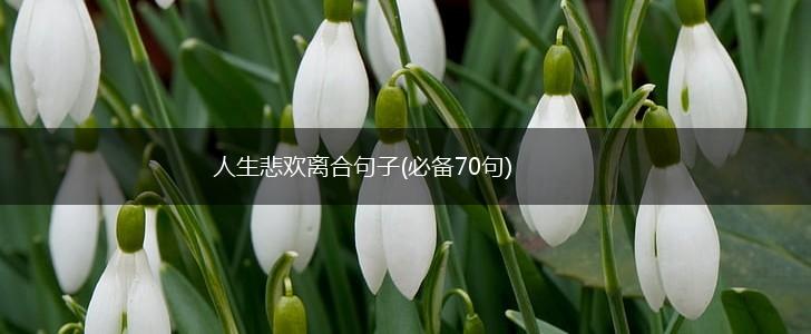 人生悲欢离合句子(必备70句),第1张