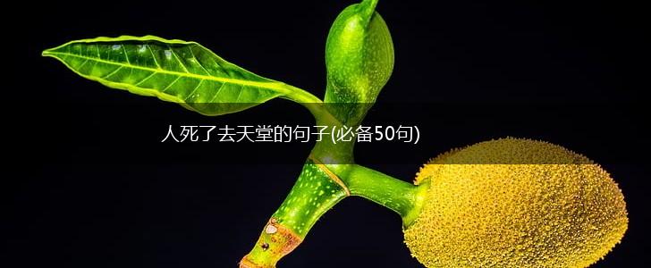 人死了去天堂的句子(必备50句),第1张