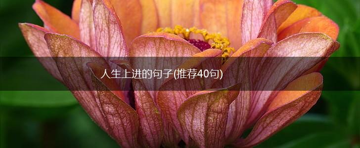 人生上进的句子(推荐40句),第1张
