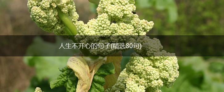 人生不开心的句子(精选80句),第1张