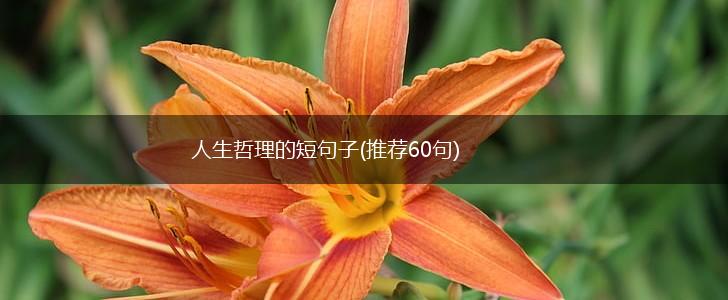 人生哲理的短句子(推荐60句),第1张