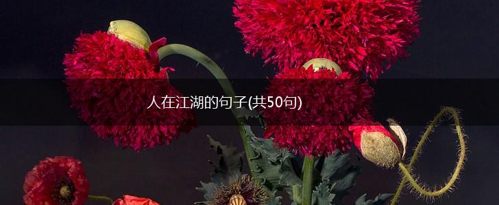 人在江湖的句子(共50句),第1张