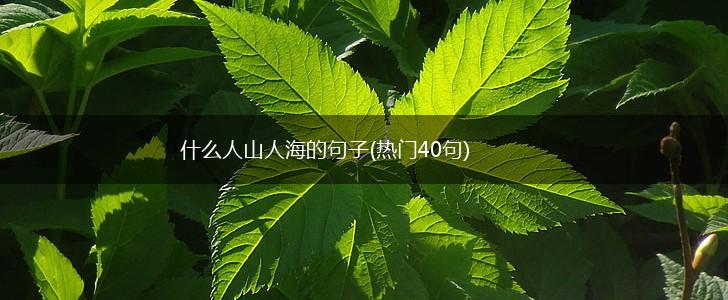 什么人山人海的句子(热门40句),第1张