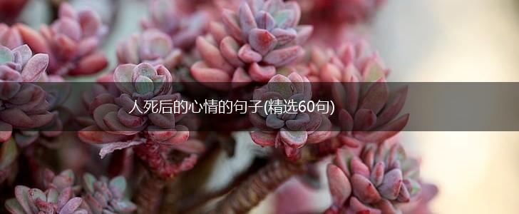人死后的心情的句子(精选60句),第1张