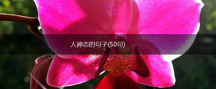 人神态的句子(50句),第1张
