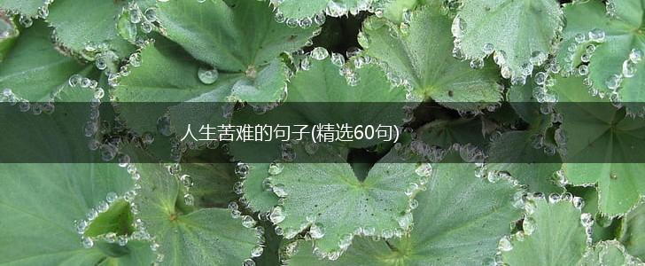 人生苦难的句子(精选60句),第1张 人生苦难的句子(精选60句),第1张