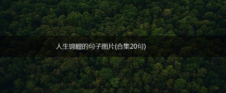 人生锦鲤的句子图片(合集20句),第1张 人生锦鲤的句子图片(合集20句),第1张