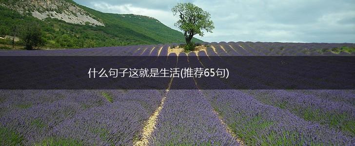 什么句子这就是生活(推荐65句),第1张