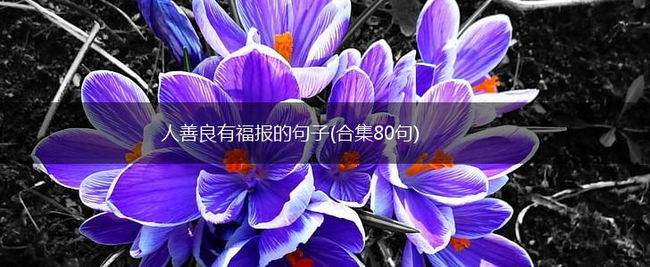 人善良有福报的句子(合集80句),第1张
