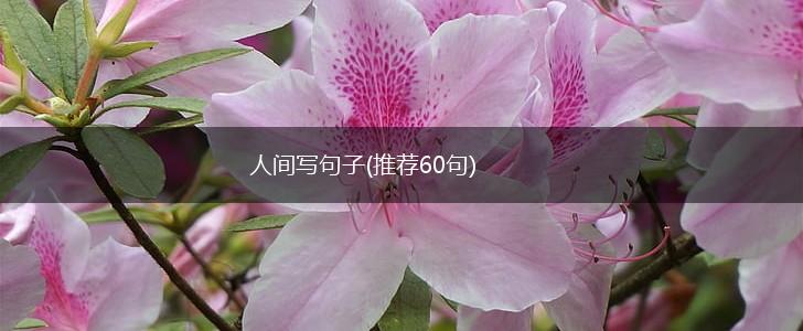 人间写句子(推荐60句),第1张