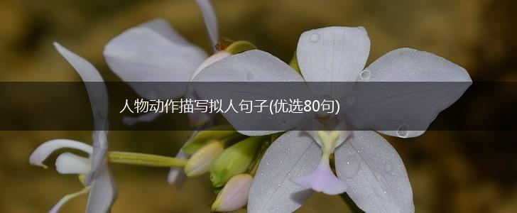 人物动作描写拟人句子(优选80句),第1张