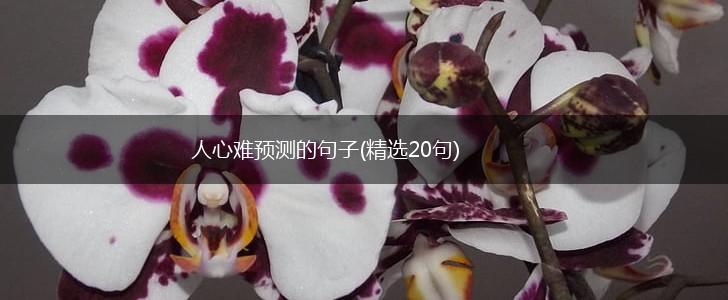 人心难预测的句子(精选20句),第1张