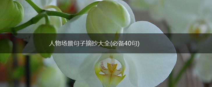 人物场景句子摘抄大全(必备40句),第1张