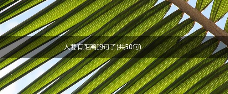 人要有距离的句子(共50句),第1张