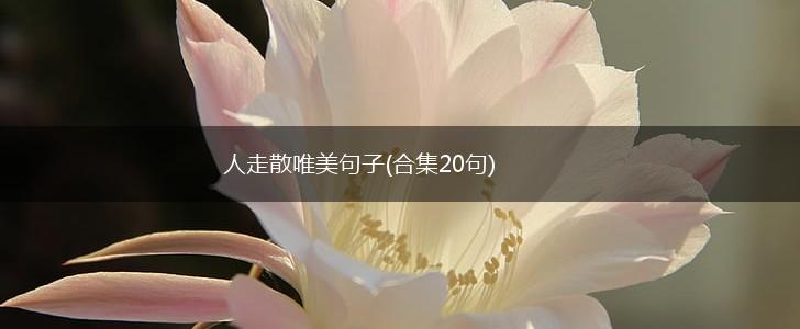 人走散唯美句子(合集20句),第1张