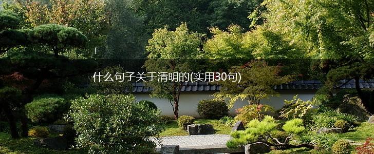 什么句子关于清明的(实用30句),第1张