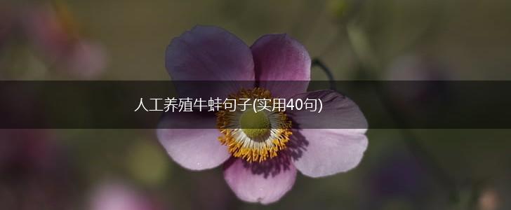 人工养殖牛蛙句子(实用40句),第1张