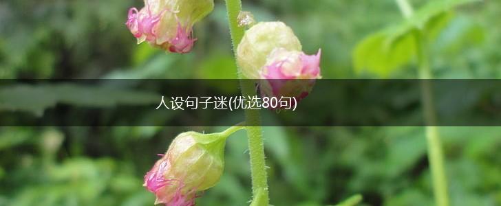 人设句子迷(优选80句),第1张 人设句子迷(优选80句),第1张