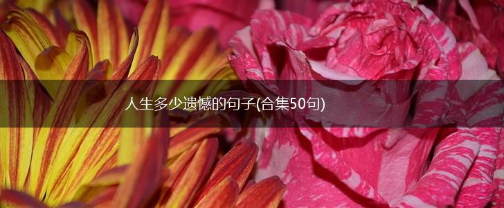 人生多少遗憾的句子(合集50句),第1张