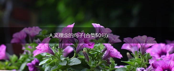 人文理念的句子(合集50句),第1张