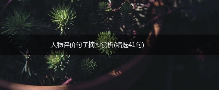 人物评价句子摘抄赏析(精选41句),第1张