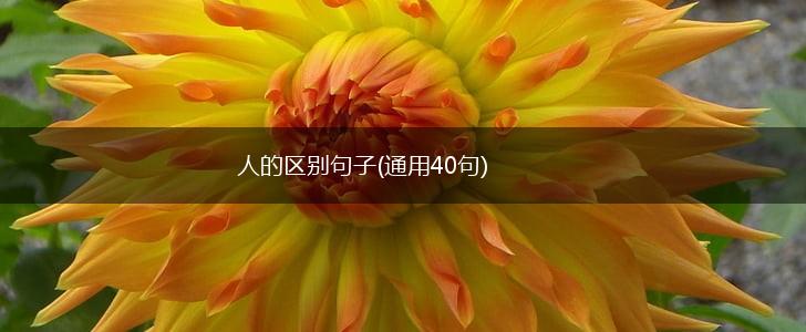 人的区别句子(通用40句),第1张