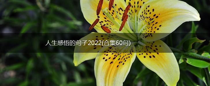 人生感悟的句子2022(合集60句),第1张