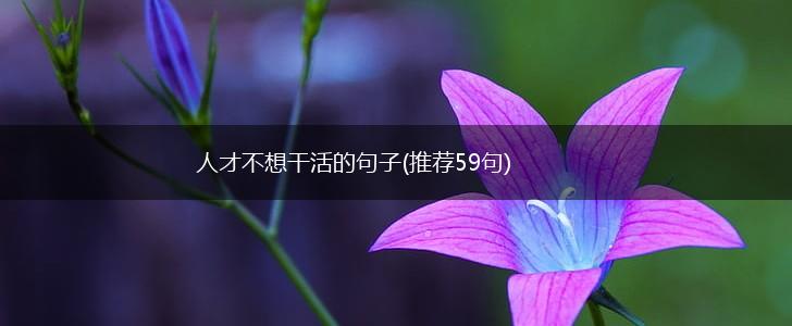 人才不想干活的句子(推荐59句),第1张