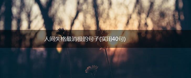 人间失格最消极的句子(实用40句),第1张