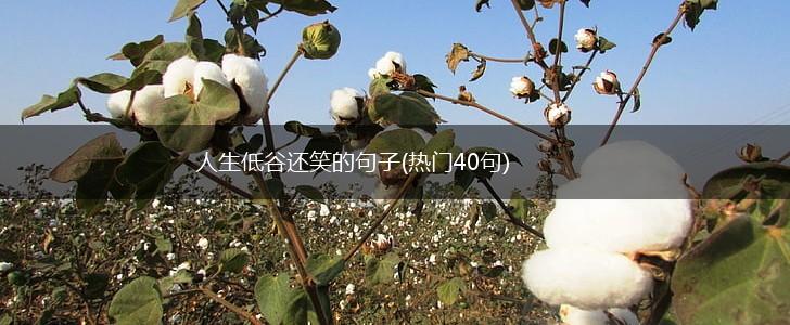 人生低谷还笑的句子(热门40句),第1张