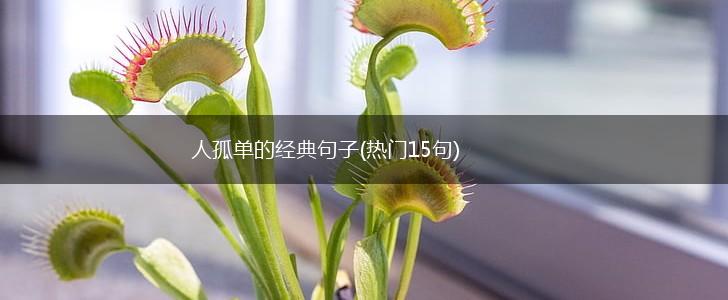 人孤单的经典句子(热门15句),第1张