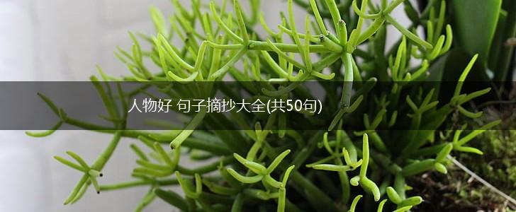 人物好 句子摘抄大全(共50句),第1张