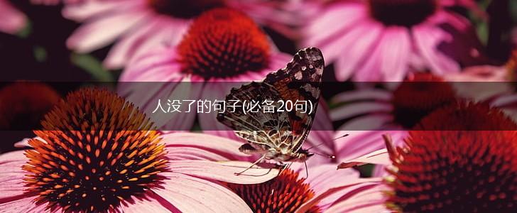 人没了的句子(必备20句),第1张