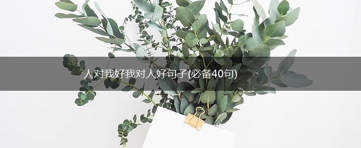 人对我好我对人好句子(必备40句),第1张