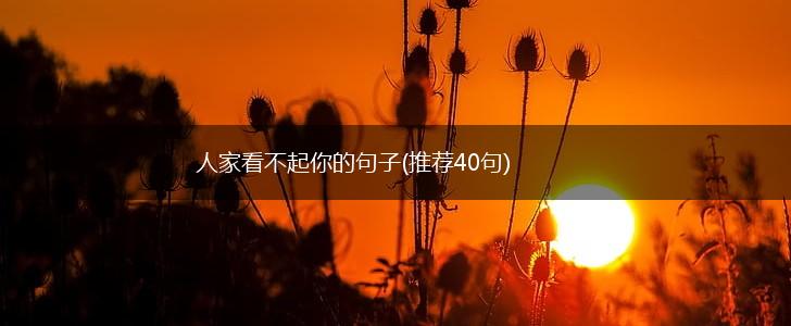 人家看不起你的句子(推荐40句),第1张