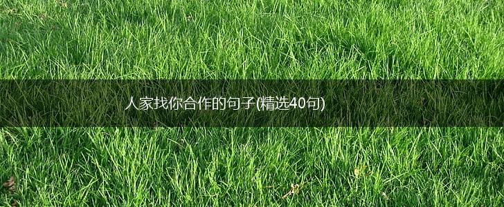 人家找你合作的句子(精选40句),第1张