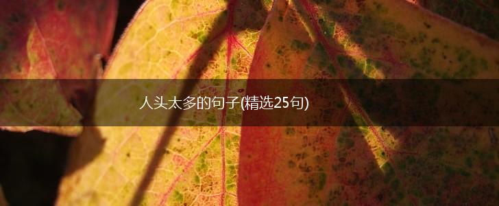 人头太多的句子(精选25句),第1张