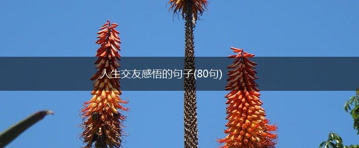 人生交友感悟的句子(80句),第1张
