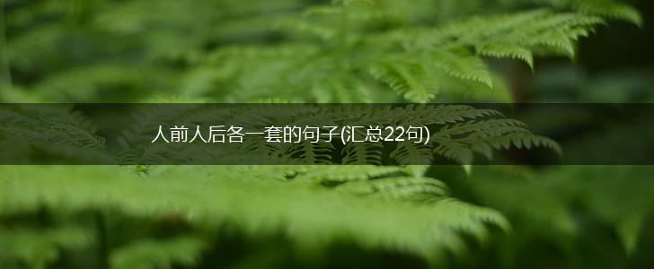 人前人后各一套的句子(汇总22句),第1张