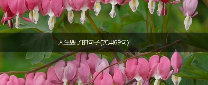 人生毁了的句子(实用69句),第1张