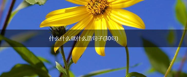 什么什么就什么造句子(30句),第1张