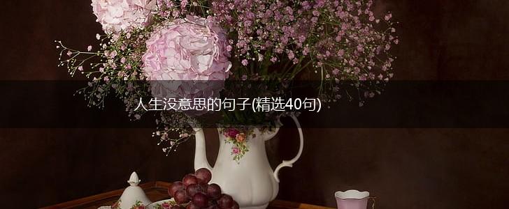 人生没意思的句子(精选40句),第1张