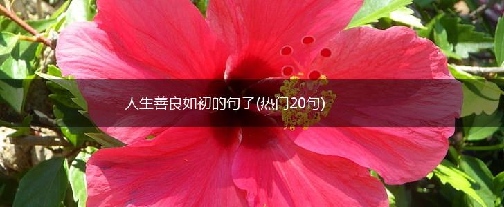 人生善良如初的句子(热门20句),第1张