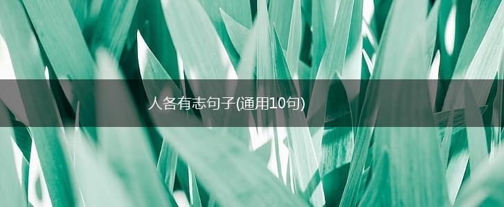 人各有志句子(通用10句),第1张