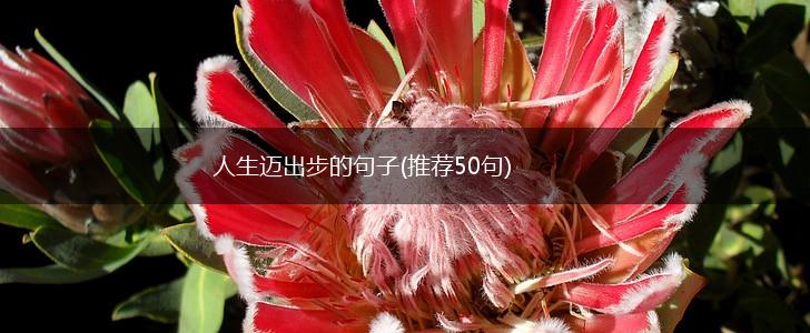人生迈出步的句子(推荐50句),第1张