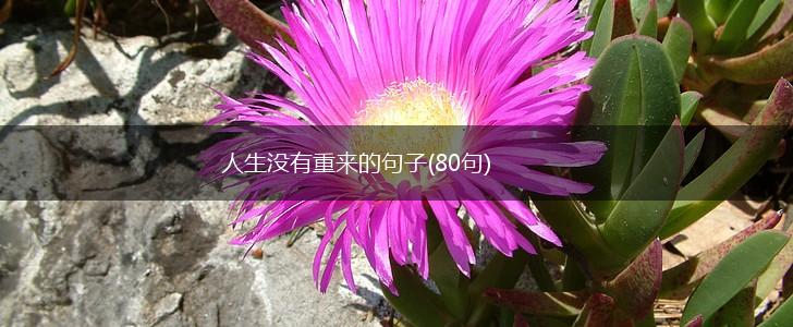 人生没有重来的句子(80句),第1张
